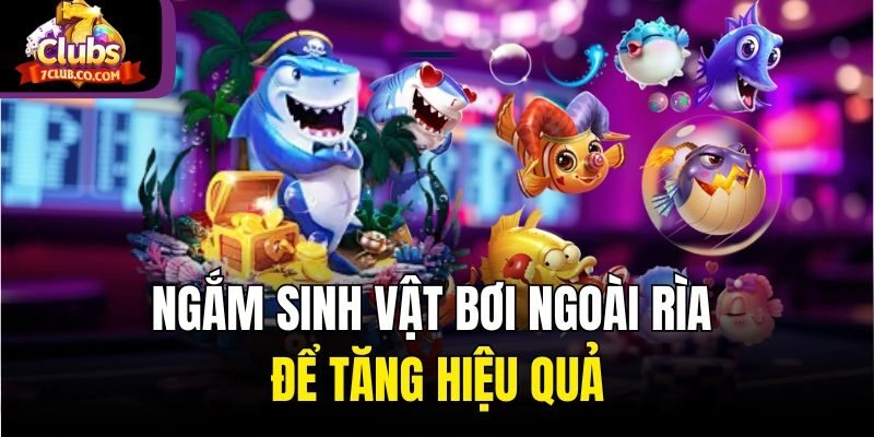 Ngắm sinh vật bơi ngoài rìa để tăng hiệu quả